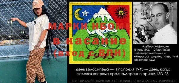 прущие грибы Балахна