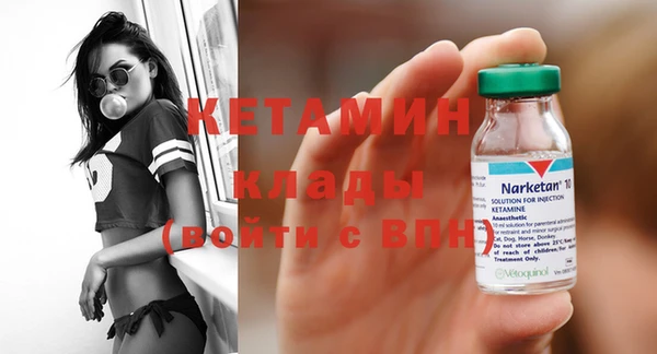 прущие грибы Балахна