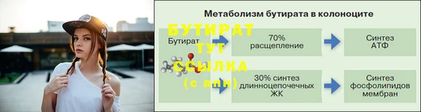 прущие грибы Балахна
