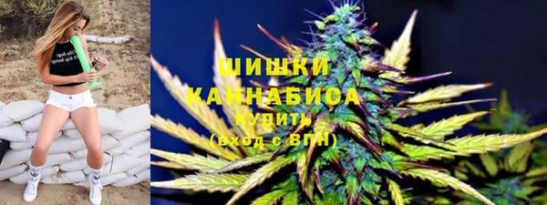 прущие грибы Балахна
