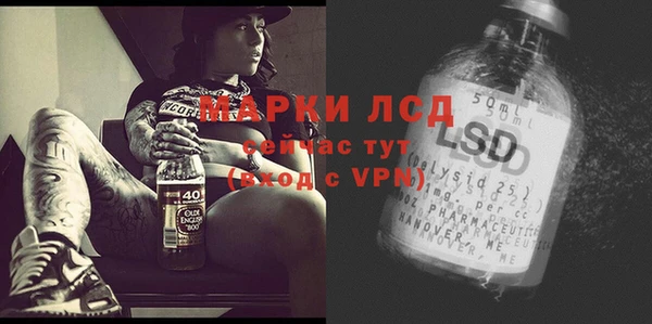 прущие грибы Балахна